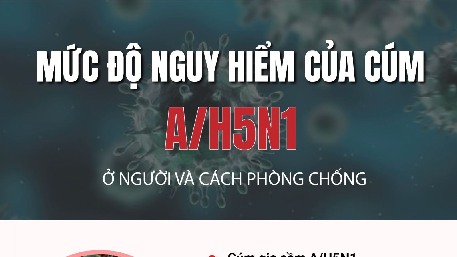 Mức độ nguy hiểm của cúm A/H5N1 ở người và cách phòng chống